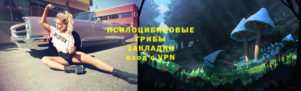 не бодяженный Магас