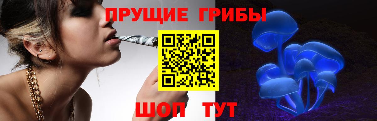 Псилоцибиновые грибы ЛСД Малгобек
