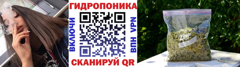 где найти Малгобек Бошки Шишки планчик