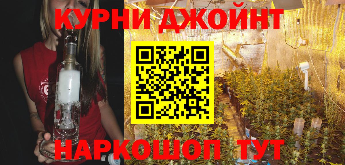 Конопля гибрид  Вход с VPN  Конопля план  Бошки марихуана конопля  Малгобек 
